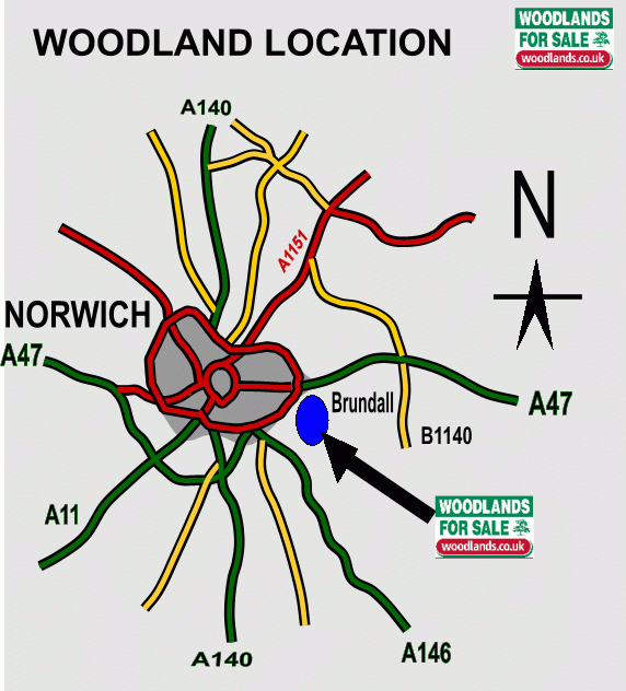 Click to view a full-size version Surlingham Wood - SOLD map