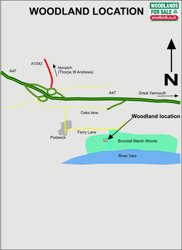 Click to view a full-size version Surlingham Wood - SOLD map