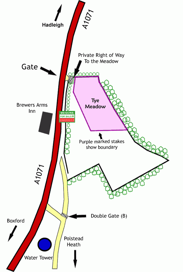 Tye Meadow map