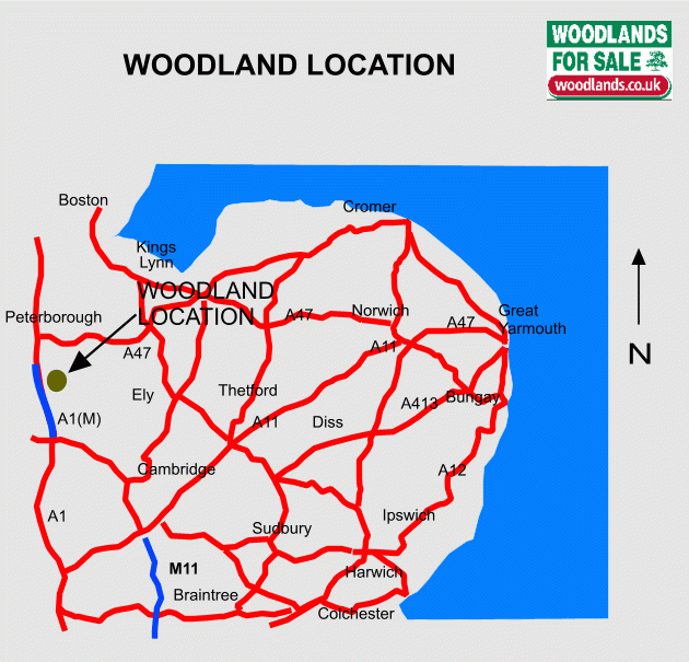 Click to view a full-size version Walters Wood map