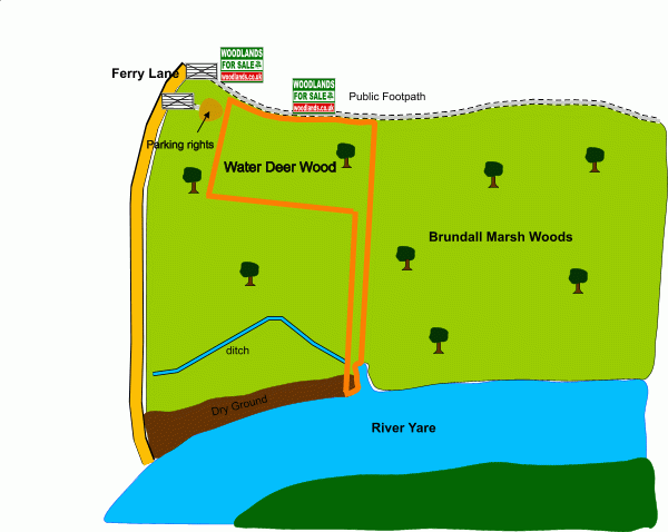 Water Deer Wood map