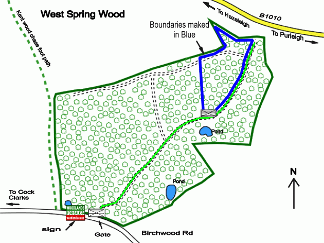 West Spring Wood - SOLD map