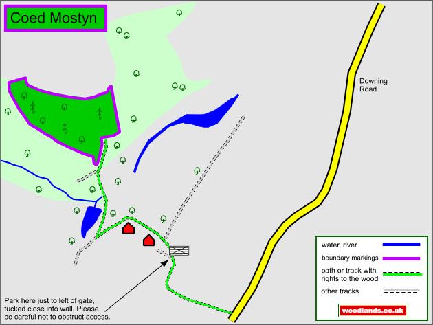 Click to view a full-size version Coed Mostyn - SOLD map