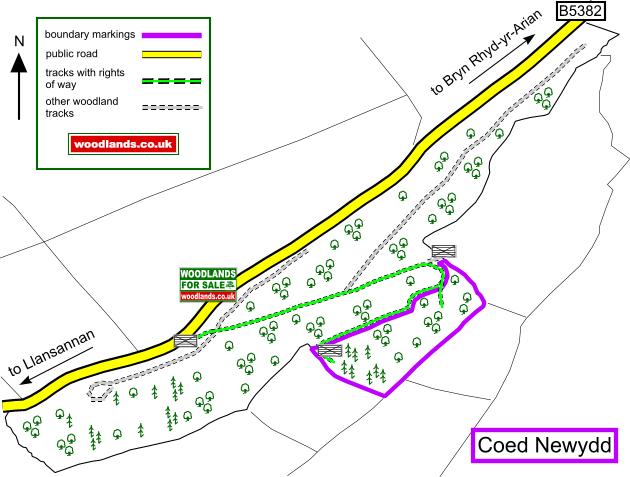 Coed Newydd map