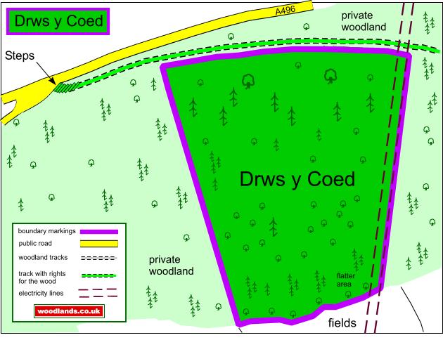 Drws Y Coed map