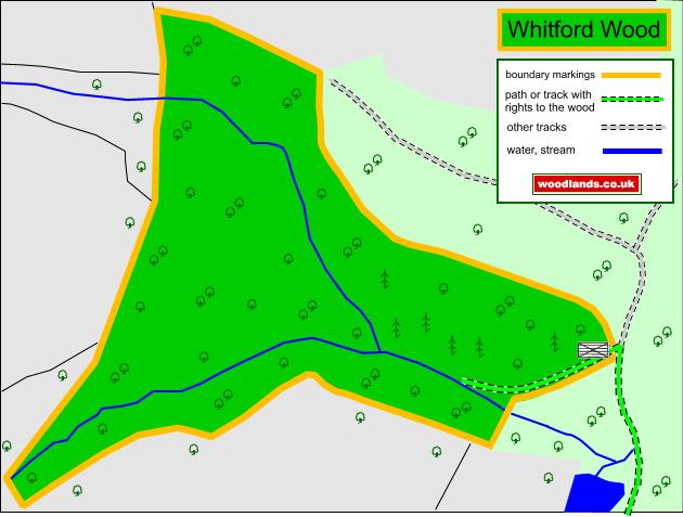 Whitford Wood - SOLD map