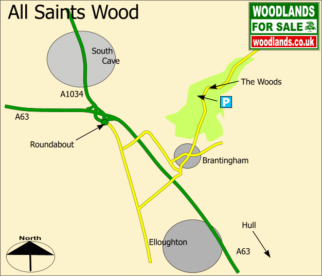 Click to view a full-size version All Saints Wood - SOLD map