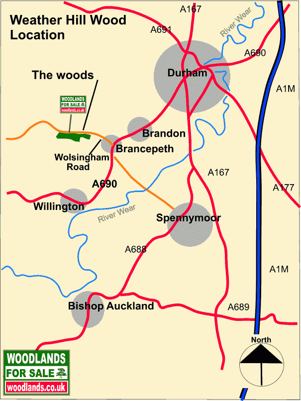 Click to view a full-size version Baal Wood - SOLD map