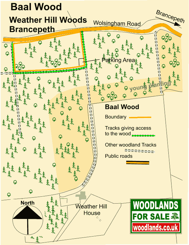 Baal Wood - SOLD map