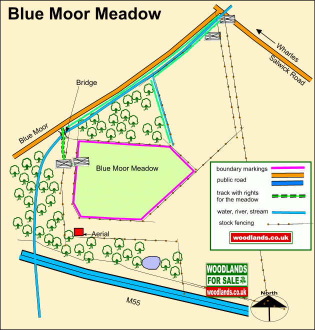 Blue Moor Meadow - SOLD map