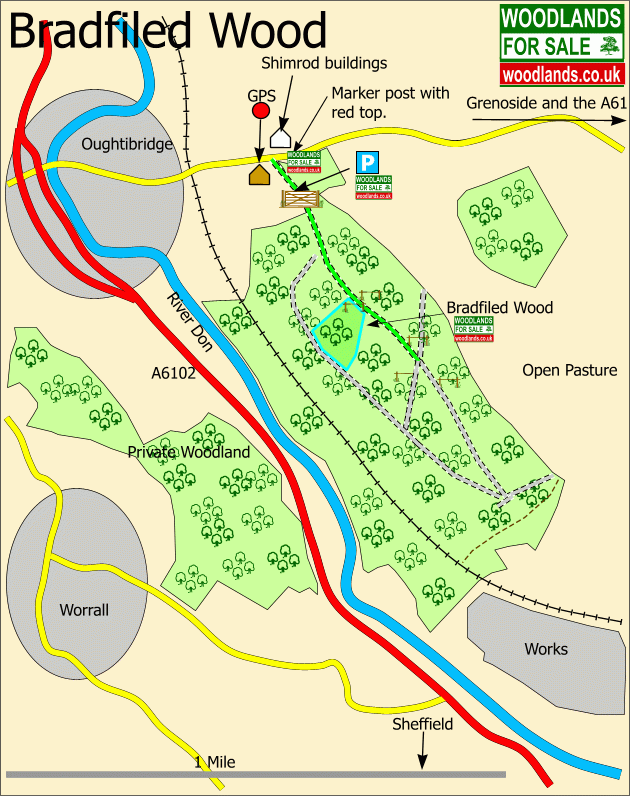 Click to view a full-size version Bradfield Wood - SOLD map