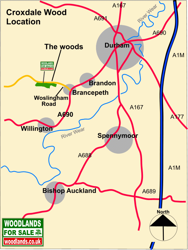 Click to view a full-size version Croxdale Wood - SOLD map