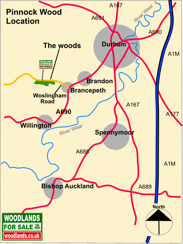 Pinnock Wood - SOLD map