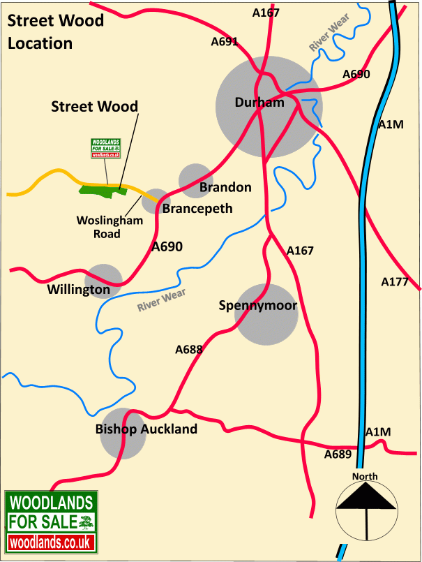 Click to view a full-size version Street Wood - SOLD map