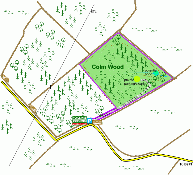 Click to view a full-size version Colm Wood - SOLD map