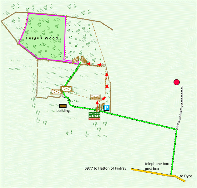 Fergus Wood - SOLD map