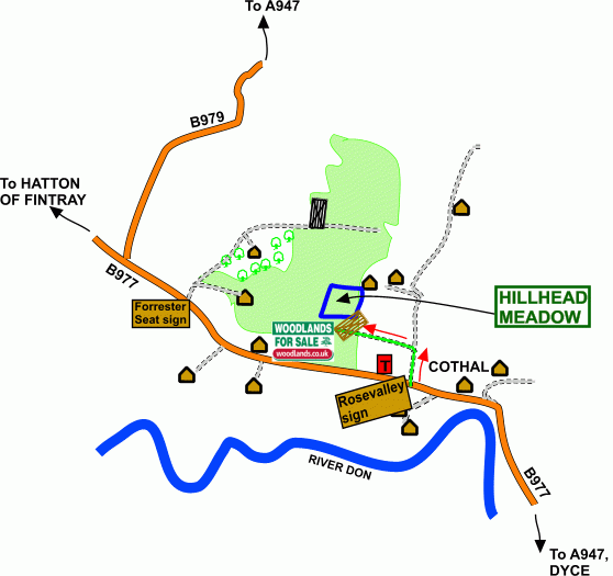 Click to view a full-size version Hillhead Meadow map