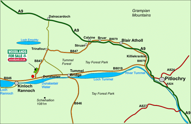 Marten Wood map