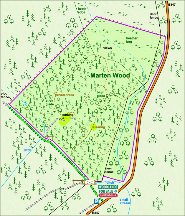 Marten Wood map
