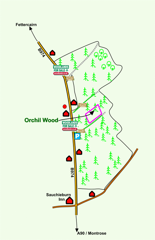 Orchil Wood - SOLD map