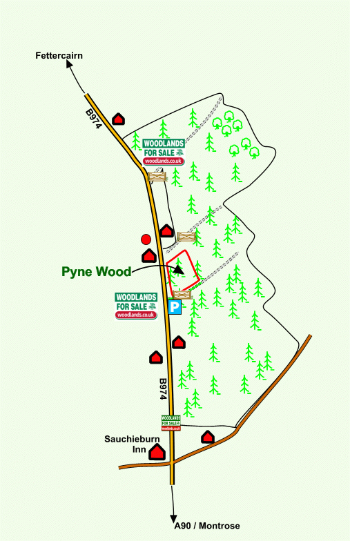 Click to view a full-size version Pyne Wood - SOLD map