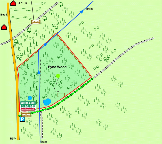 Pyne Wood - SOLD map