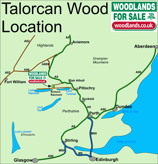 Talorcan Wood, Dunalastair, Kinloch Rannoch, Perthshire Woodlands.co.uk