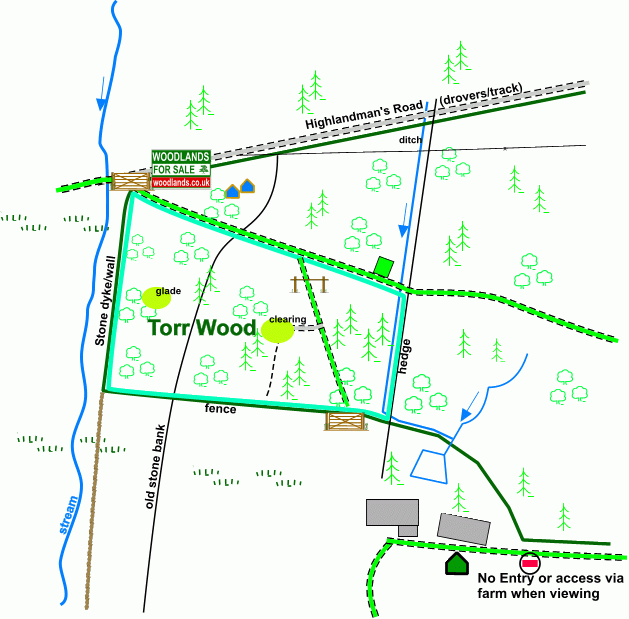 Torr Wood - SOLD map