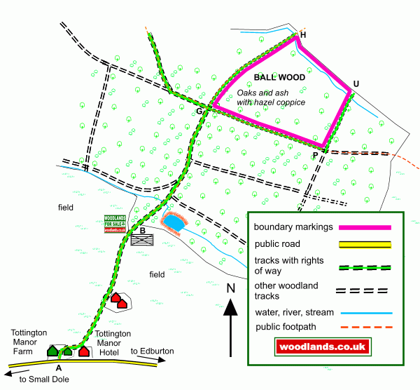 Ball Wood map