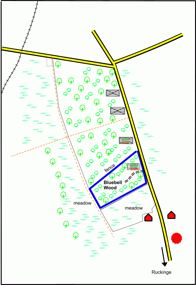 Click to view a full-size version Bluebell Wood - SOLD map