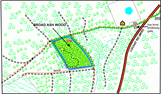Broad Ash Wood - SOLD map