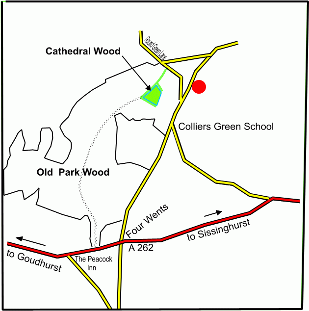 Cathedral Wood - SOLD map