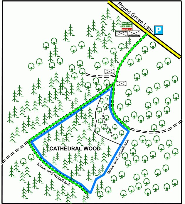 Cathedral Wood - SOLD map