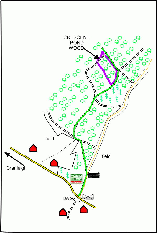 Click to view a full-size version Crescent Pond Wood - SOLD map