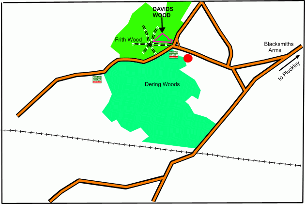 Click to view a full-size version Davids Wood - SOLD map