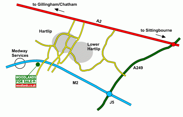 Dene Field map