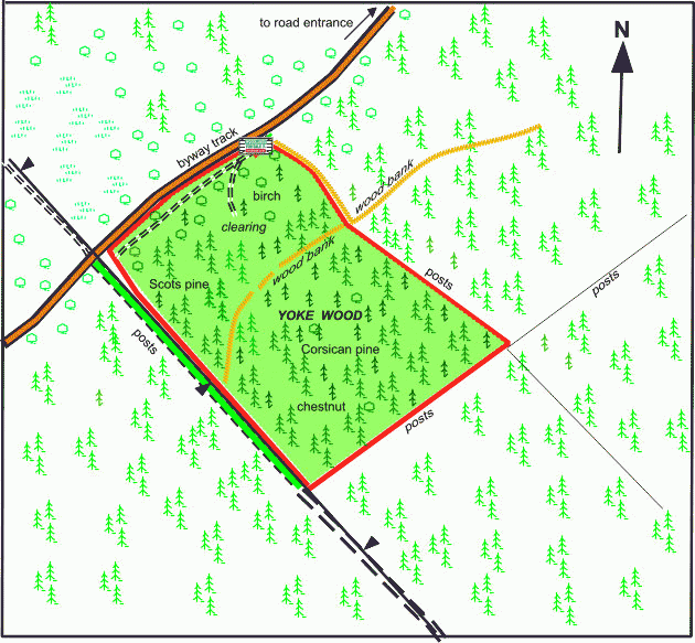 Yoke Wood - SOLD map