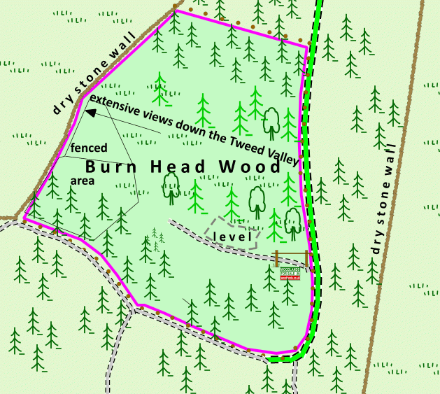Burn Head Wood - SOLD map