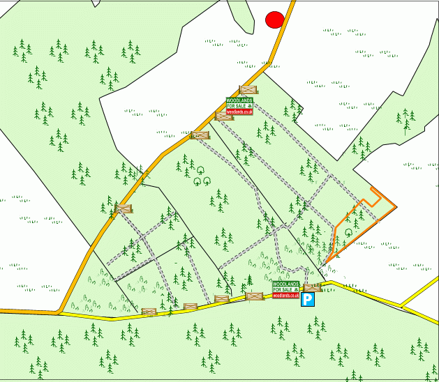 Burnfoot Wood - SOLD map