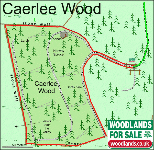 Caerlee Wood - SOLD map