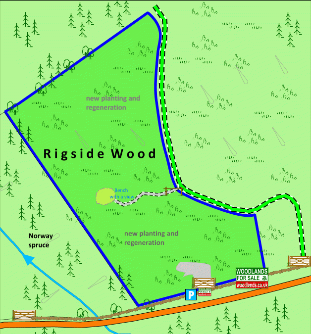 Rigside Wood - SOLD map
