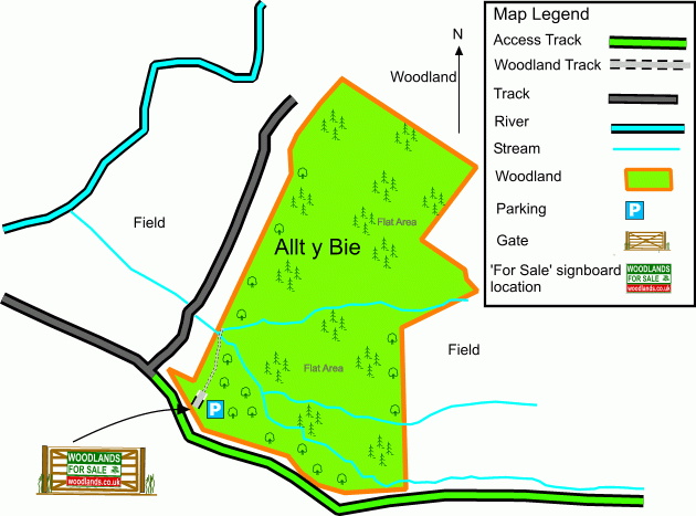 Allt Y Bie - SOLD map