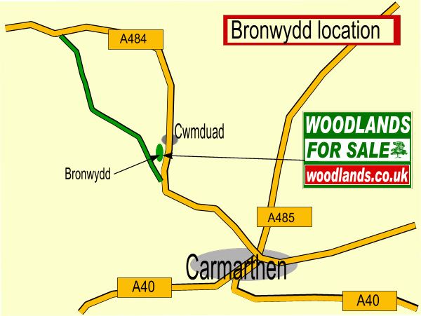 Click to view a full-size version Bronwydd - SOLD map