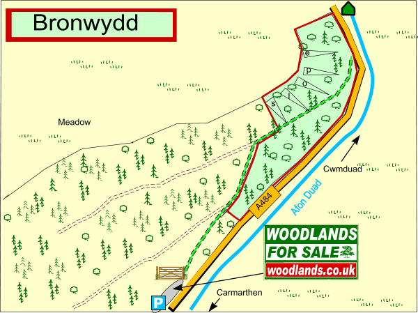 Click to view a full-size version Bronwydd - SOLD map
