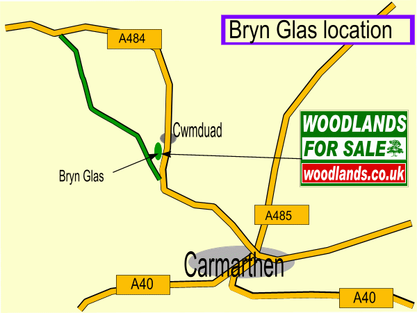 Click to view a full-size version Bryn Glas map