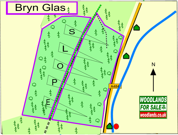 Click to view a full-size version Bryn Glas map