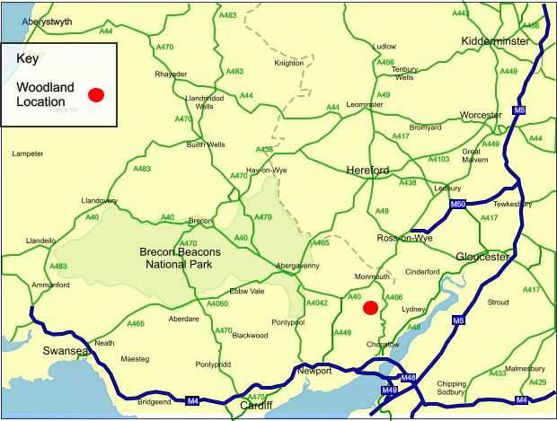 Click to view a full-size version Cicelyford Wood map