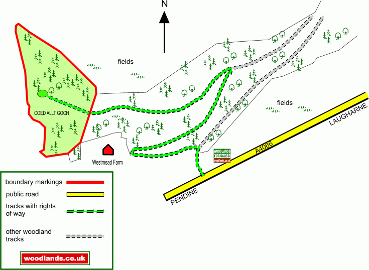 Coed Allt Goch - Red Hillside Wood - SOLD map