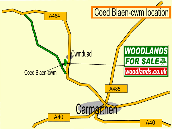 Click to view a full-size version Coed Blaen-cwm - SOLD map