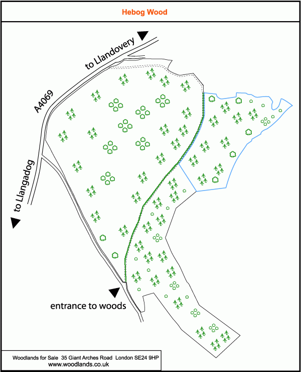 Coed Hebog - SOLD map